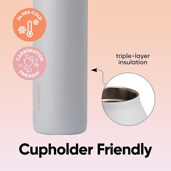 Owala FreeSip Twist Insulated Stainless Steel Water Bottle with Straw for Sports and Travel, BPA-Free, 24-oz, Teen Spirit Owala