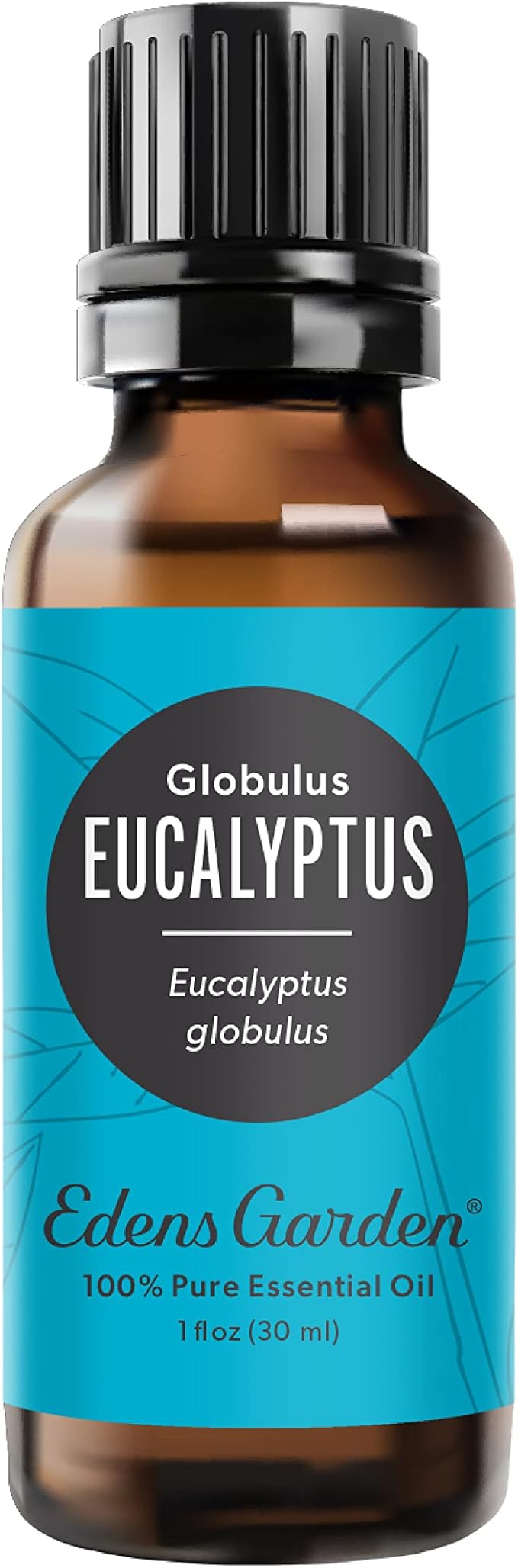 Edens Garden Eucalyptus - Globulus Essential Oil- 100% Pure Premium Grade, Undiluted, Natural, Therapeutic, Aromatherapy, The Best for Diffuser, Candle, Hair, Humidifiers 30 ml (1 fl oz) - Bloomnest