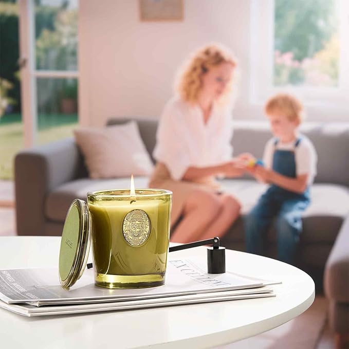 M&SENSE Natural Soy Candle | Forest Cabin & Green | 9.2 oz, 50H Burn Time | Luxury Scented Candle for Relaxation, Gifting, Home Décor | Ideal for Bedroom, Office, Party Ambiance - Bloomnest