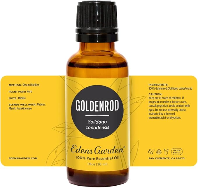 Edens Garden Goldenrod Essential Oil- 100% Pure Premium Grade, Undiluted, Natural, Therapeutic, Aromatherapy, The Best for Diffuser, Skin, Face, Humidifiers 30 ml (1 fl oz) - Bloomnest