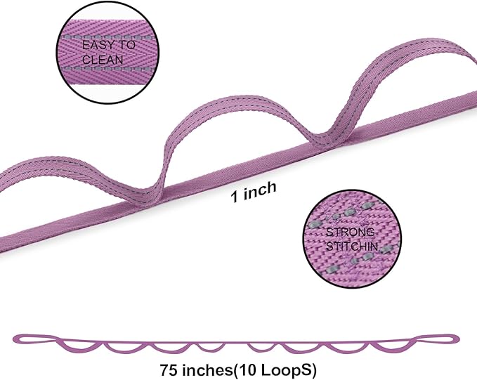 Premium Durable Stretch Straps with Loops, Stretching Strap for Physical Therapy, Multi-Loop Yoga Strap Fitness Exercise Strap for Yoga, Pilates, Dance, Flexibility&Exercise - Bloomnest