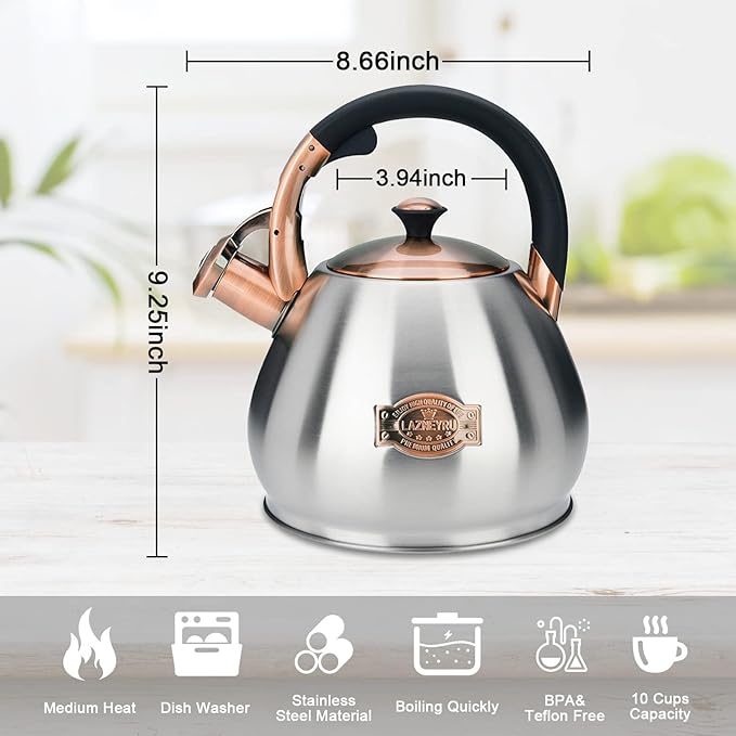 Tea Kettle Stovetop Whistling Kettle Teapot, 3Quart Tea Pot Stainless Steel Teakettle for Stove Top with Heat Proof Ergonomic Handle - Bloomnest