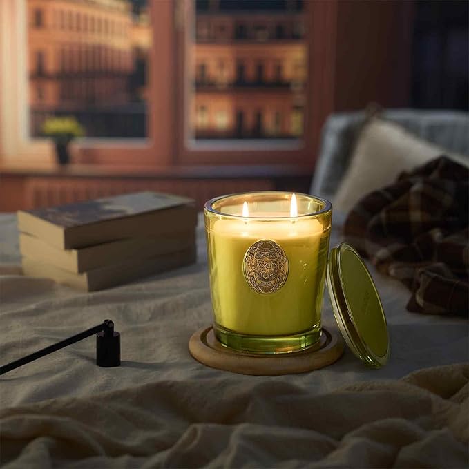 M&SENSE Large Two-Wick Strong Soy Candle | Sandalwood Jasmine & Green | 19.8 oz, 120H Burn Time | Luxury Candle for Relaxation, Gifting, Home Décor | Ideal for Bedroom, Office, Party Ambiance - Bloomnest