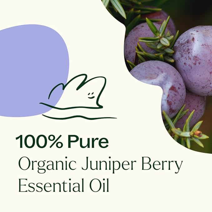 Plant Therapy Organic Juniper Berry Essential Oil 100% Pure, Undiluted, Natural Aromatherapy, Therapeutic Grade 10 mL (1/3 oz) - Bloomnest