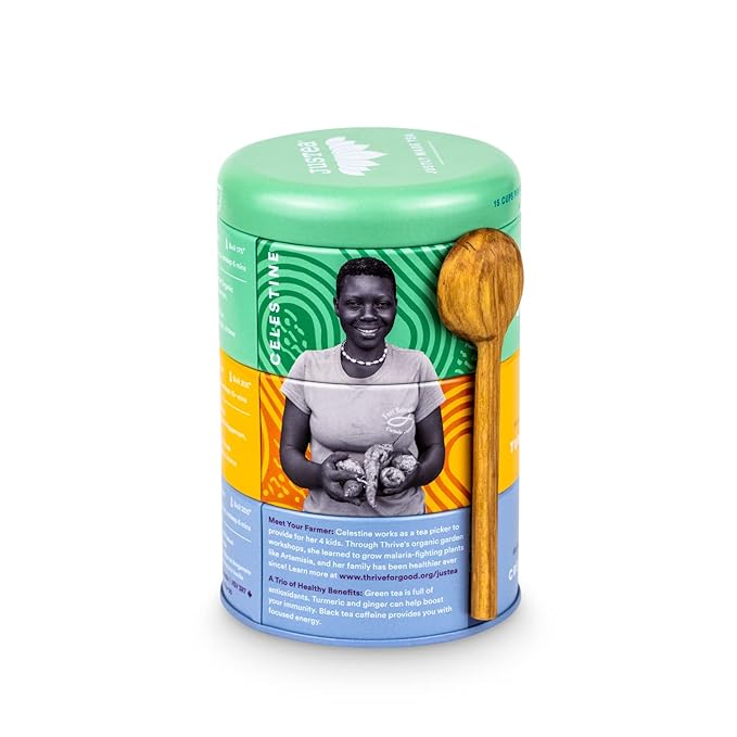 JusTea Assorted Tea Trio | Stacking Tins Variety Pack with Hand Carved Spoon | Loose Leaf Tea | Variable Caffeine | Award-Winning | Fair Trade | Non-GMO - Bloomnest