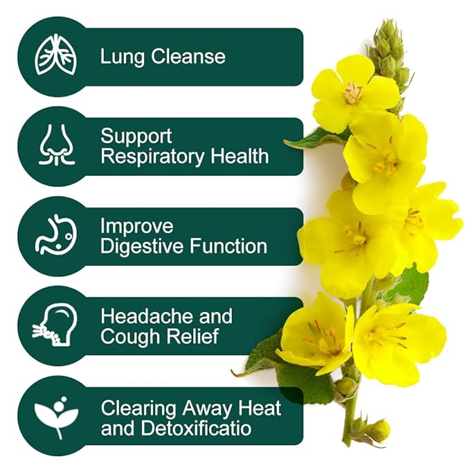 Mullein Leaf Tea Bags - Lungs Cleanse and Respiratory Support, Herbal Teas, Caffeine Free, 40 Tea Bags - Bloomnest