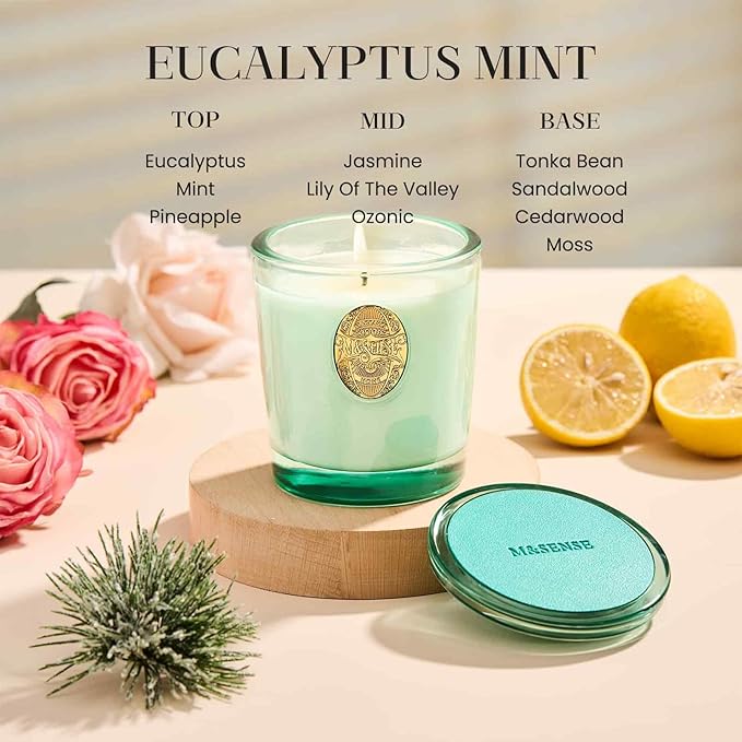 M&SENSE Natural Aromatherapy Soy Candle | Eucalyptus Mint & Blue | 9.2 oz, 50H Burn Time | Luxury Scented Candle for Relaxation, Gifting, Home Décor | Ideal for Bedroom, Office, Party Ambiance - Bloomnest