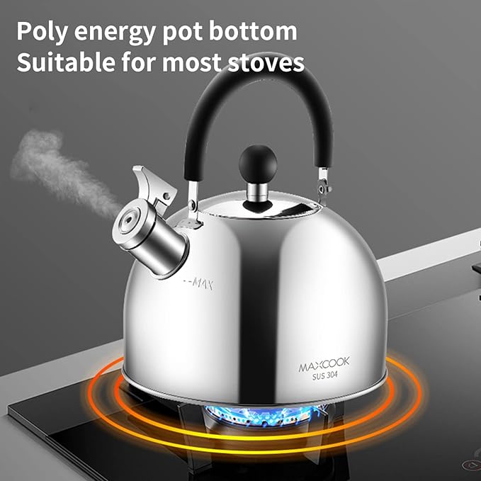 304 Stainless Steel Whistling Tea Kettle 2.1 Quart/2L, Suitable to Boiling Water & Tea on Induction Stove, Gas Stove Top - Bloomnest