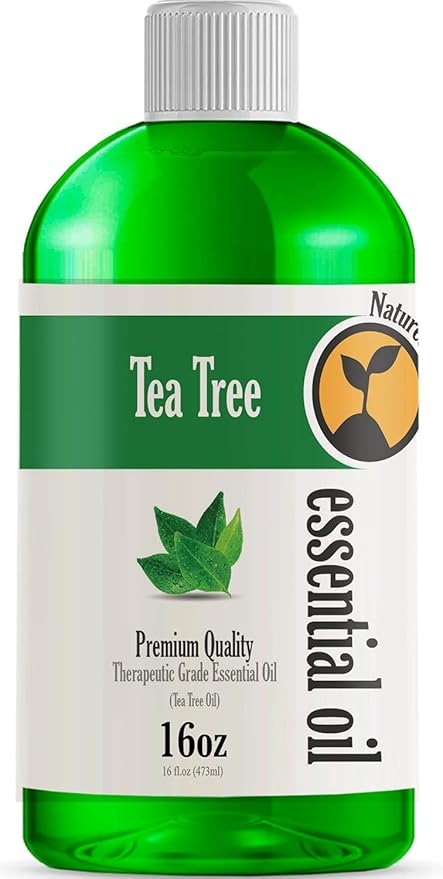 16oz - Bulk Size Tea Tree Essential Oil (16 Ounce Total) - Therapeutic Grade Essential Oil - 16 Fl Oz Bottle - Bloomnest