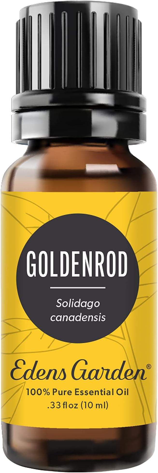 Edens Garden Goldenrod Essential Oil- 100% Pure Premium Grade, Undiluted, Natural, Therapeutic, Aromatherapy, The Best for Diffuser, Skin, Face, Humidifiers 10 ml (.33 fl oz) EdensGarden