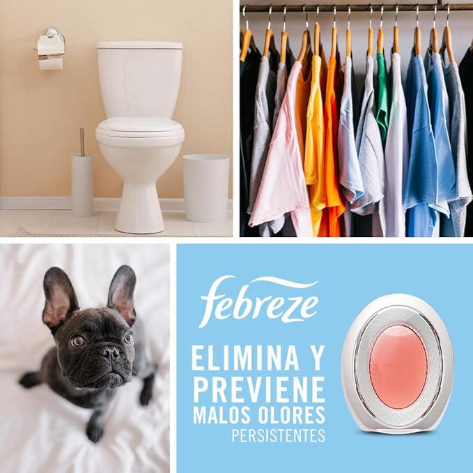 Febreze Small Spaces Air Freshener, Wild Berries, Odor Fighter for Strong Odors (1 Count) - Bloomnest