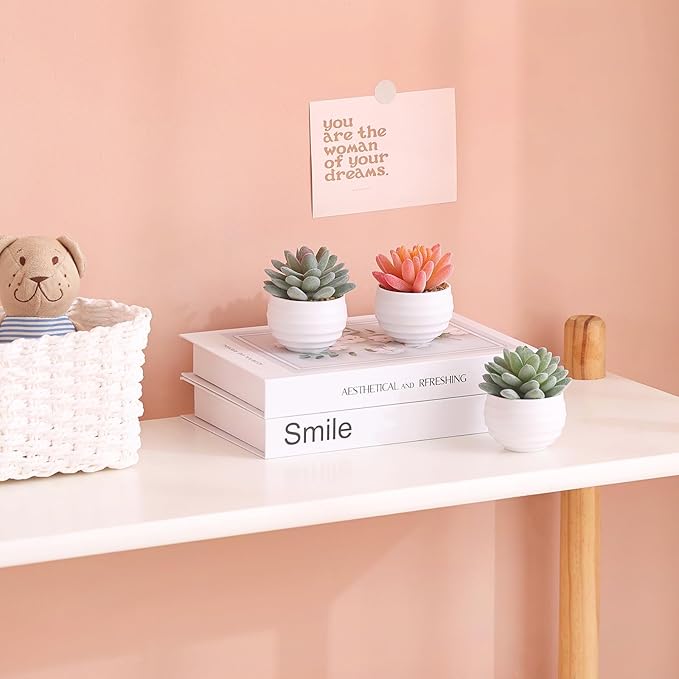 Tiita Artificial Faux Succulents in Pots Fake Plants Ceramic Arrangement Planter for Women Desk Small Mini Tiny Decoration for Home Office Desk Window - Bloomnest