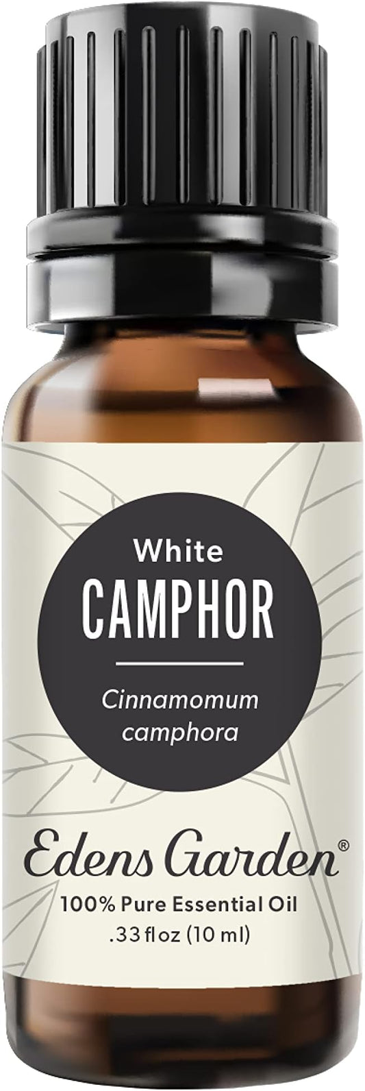 Edens Garden Camphor- White Essential Oil, 100% Pure Therapeutic Grade (Undiluted Natural/Homeopathic Aromatherapy Scented Essential Oil Singles) 10 ml - Bloomnest