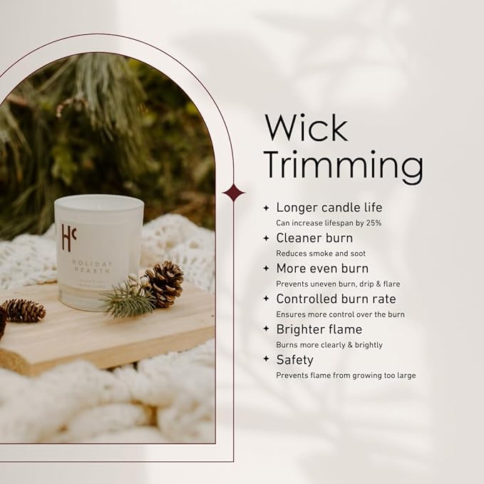 Holiday Hearth Single Wick Soy Candles, Luxury Scented Candles for Home - Up to 60 Hour Burn Time, Cruelty-Free Soy Wax Blend - Frosted Sugar Plum & Cinnamon Fragrance (9 oz) - Bloomnest