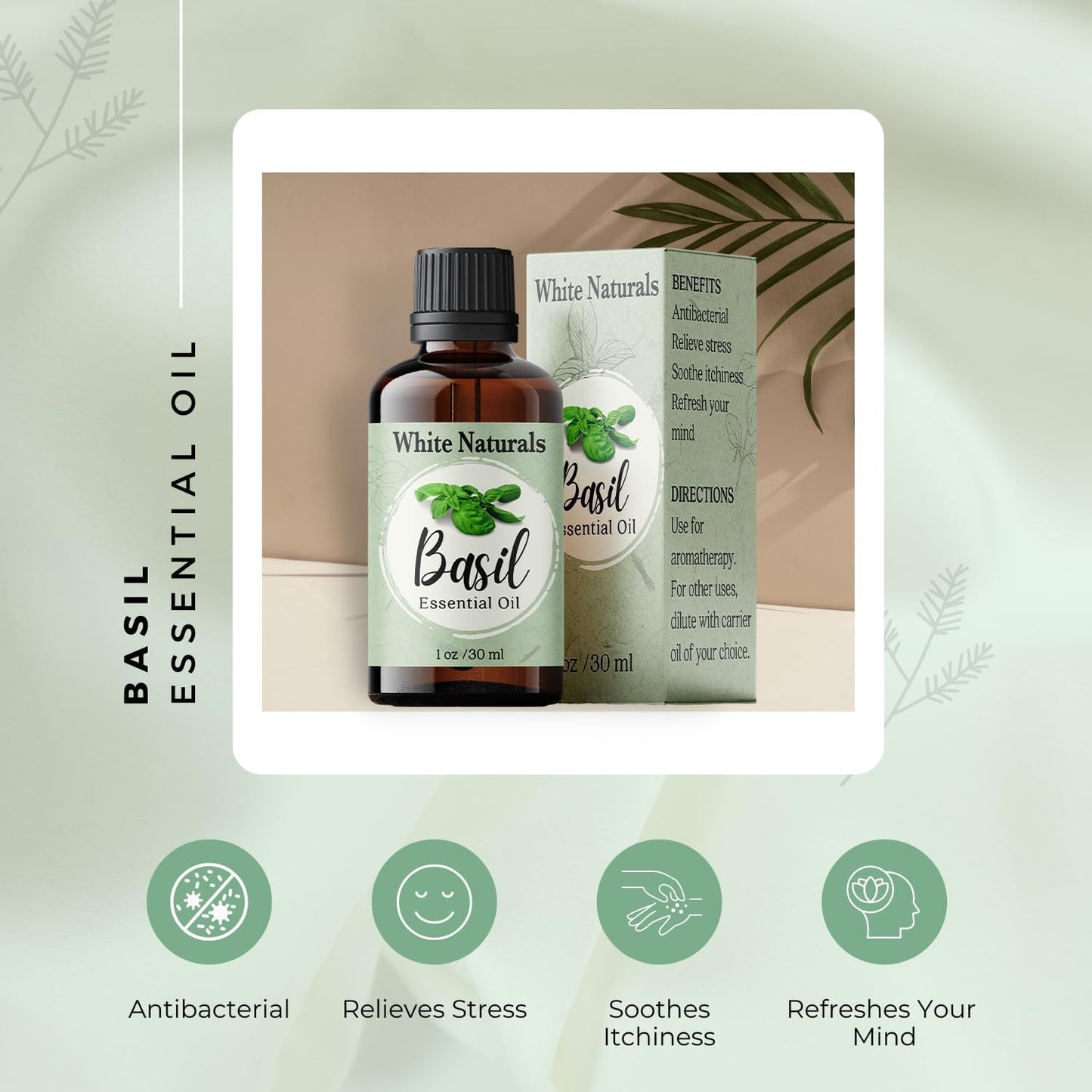 Basil Essential Oil,100% Pure & Natura, Therapeutic Grade Basil Oil for Aromatherapy, Great for Skin, Massage, Diffuser Candle & Soap Making, Plant Therapy 1 oz Bottle with Dropper