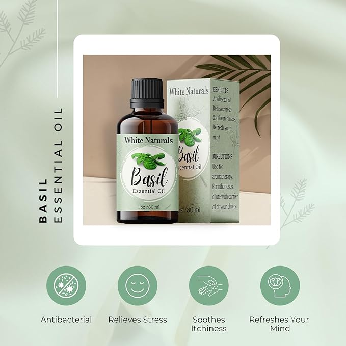 Basil Essential Oil,100% Pure & Natura, Therapeutic Grade Basil Oil for Aromatherapy, Great for Skin, Massage, Diffuser Candle & Soap Making, Plant Therapy 1 oz Bottle with Dropper - Bloomnest