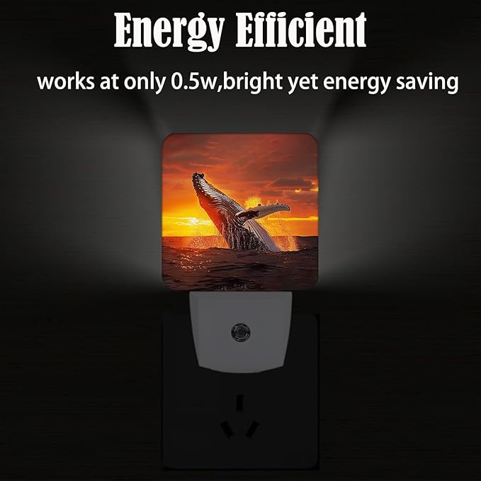 Sunset Humpback Whale Night Light,Plug Into Wall for Boys Girls Bedroom Decorative Square Night Light Lamp 0.5w Sleep Friendly