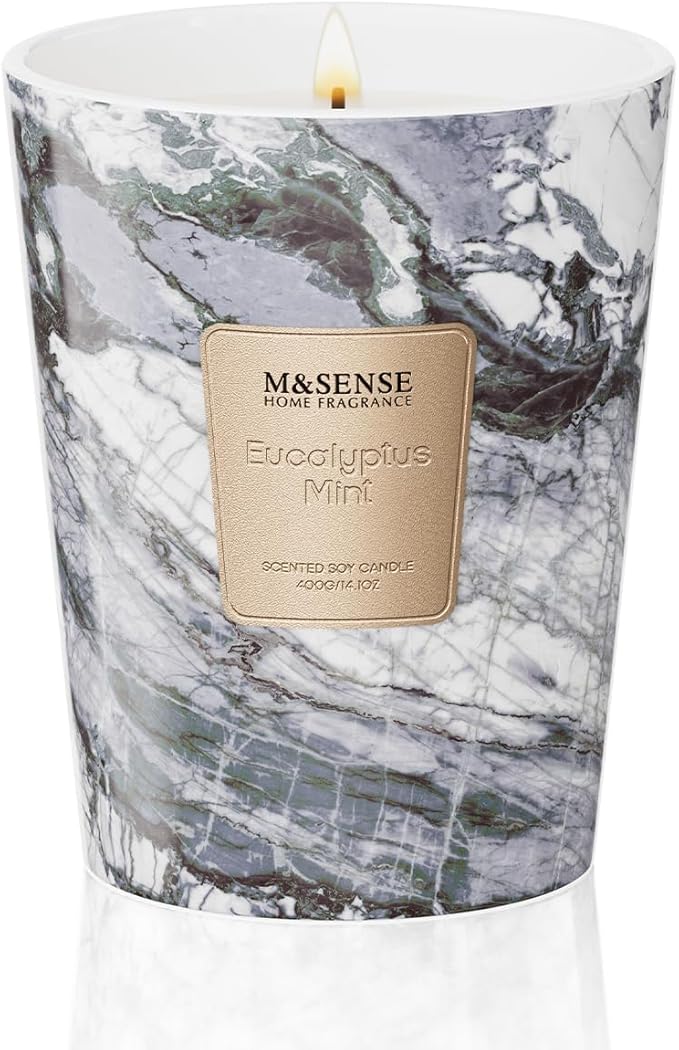M&SENSE EucalyptusMint Scented Candles for Home, Lead-Free Wick Highly Scented Jar Candles, 14.1 Oz 80 Hours Lasting Burning Candles Gifts for Women, Relaxing Aromatherapy Candle for Stress Relief - Bloomnest