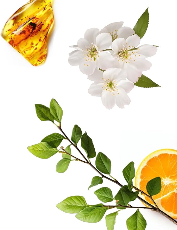 AromaPlan Hotel, Home Luxury Scents, Vines 5.07 Fl Oz (150ml) | Fragrance for Cold Air & Waterless Diffuser Oil | Home Luxury & Hotel Scent for Aromatherapy- USA Made, Bigger Bottle & Longer Lasting - Bloomnest