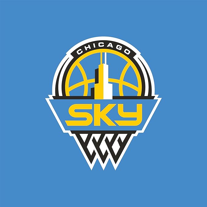 Hydrapeak x WNBA Officially Licensed Chicago Sky 32 oz Nomad Tumbler with Handle and Straw Lid, Leakproof Stainless Steel Water Bottle - Bloomnest