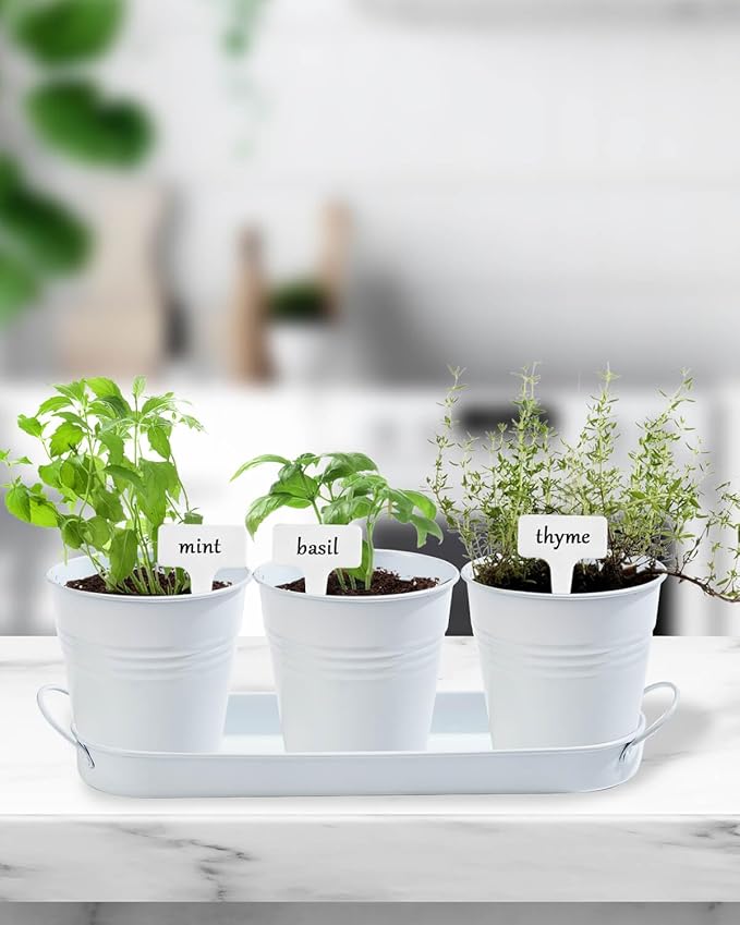vensovo Indoor Herb Planter Set - Galvanized Windowsill Garden Pots with Tray & Drainage, Set of 3 Metal Window Planters for Kitchen & Outdoor Use, White - Bloomnest