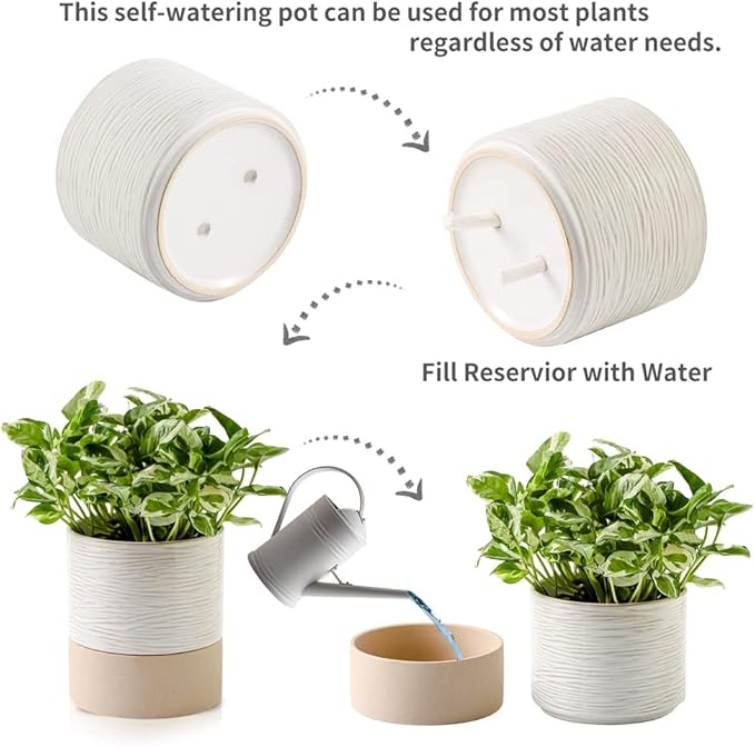 Nihow Self Watering Plant Pot: 6 Inch Ceramic Planter with Drainage Hole & Water Storage Plus for Indoor & Outdoor Plants - Cylinder Round Flower Pot for Succulent/Herbs/Violets - Cream White & Brown - Bloomnest