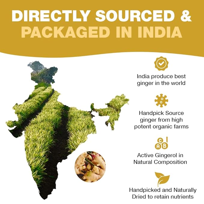 HANDPICK, Ginger Tea Bags (100 Herbal Tea Bags), Authentic Indian Origin, Caffeine Free & 100% Pure Ginger Root |Soothing & Spicy Blend | Round Eco Conscious Teabags - Bloomnest