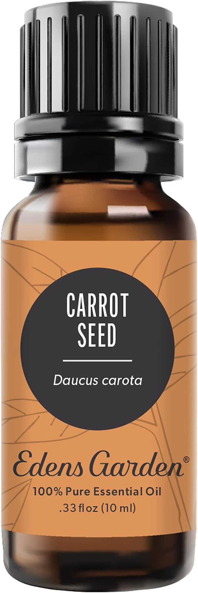 Edens Garden Carrot Seed Essential Oil- 100% Pure Premium Grade, Undiluted, Natural, Therapeutic, Aromatherapy, The Best for Diffuser, Skin, Face, Kid Safe 10 ml (.33 fl oz) - Bloomnest