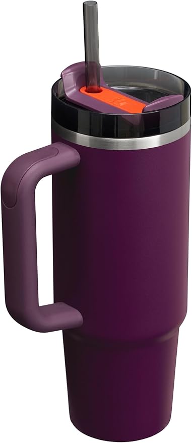 STANLEY Quencher H2.0 Tumbler with Handle and Straw 30 oz | Flowstate 3-Position Lid | Cup Holder Compatible for Travel | Insulated Stainless Steel Cup | BPA-Free | Plum - Bloomnest