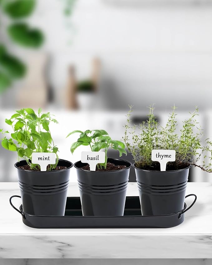 vensovo Indoor Herb Planter Set - Galvanized Windowsill Garden Pots with Tray & Drainage, Set of 3 Metal Window Planters for Kitchen & Outdoor Use, Black - Bloomnest