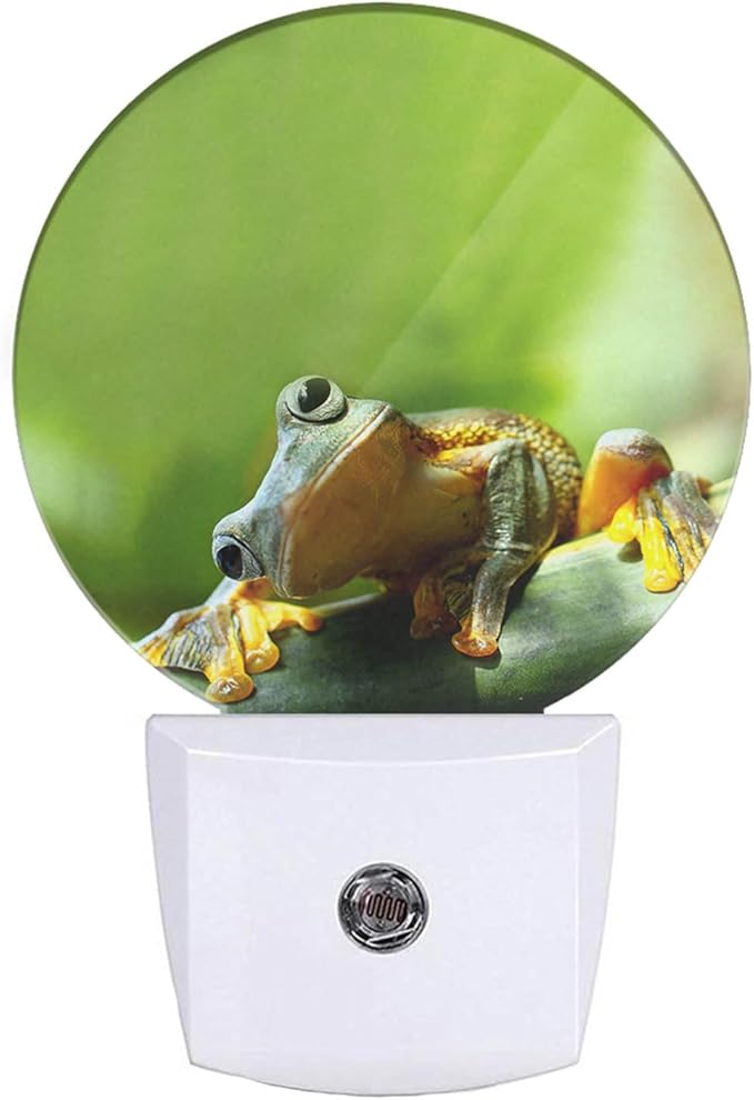 EKOBLA Frog Night Light - Cute Green Pond Animal LED Wall Plug-in Nightlights with Auto Sensor, Dusk to Dawn Lighting for Bedroom, Bathroom & Kitchen - Bloomnest