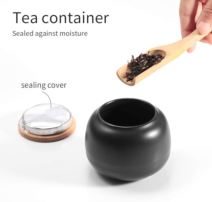 Chinese Tea Pot Cup Set with Tray Infuser - Travel Ceramic Tea set Porcelain Teapot, Portable All in One Bag for Outdoor Picnic Business Hotel (Black)