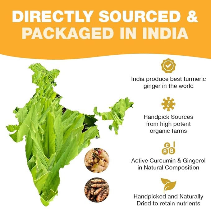 HANDPICK, Organic Turmeric Ginger Tea (100 Tea Bags) | Indian Origin | Caffeine Free, Gluten Free, Non-GMO | Savory & Spicy I Ecofriendly round tea bags - Bloomnest