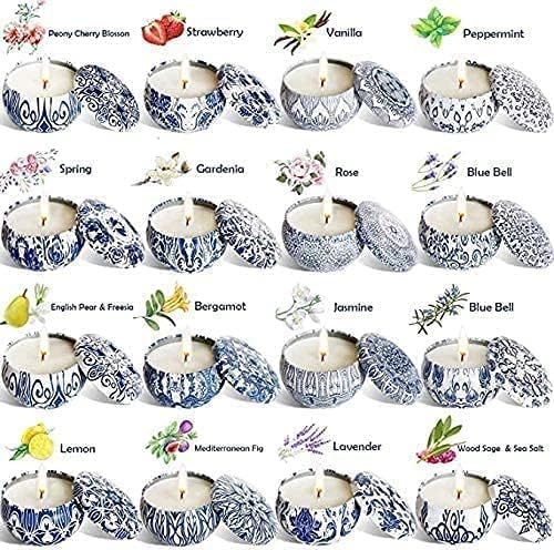 Scented Candles Gifts Set 16 Pack Soy Wax Travel Tin Jar Candles for Home 2.5 OZ for Mom for Christmas, Birthday, Thanksgiving, Mother's Day - Bloomnest