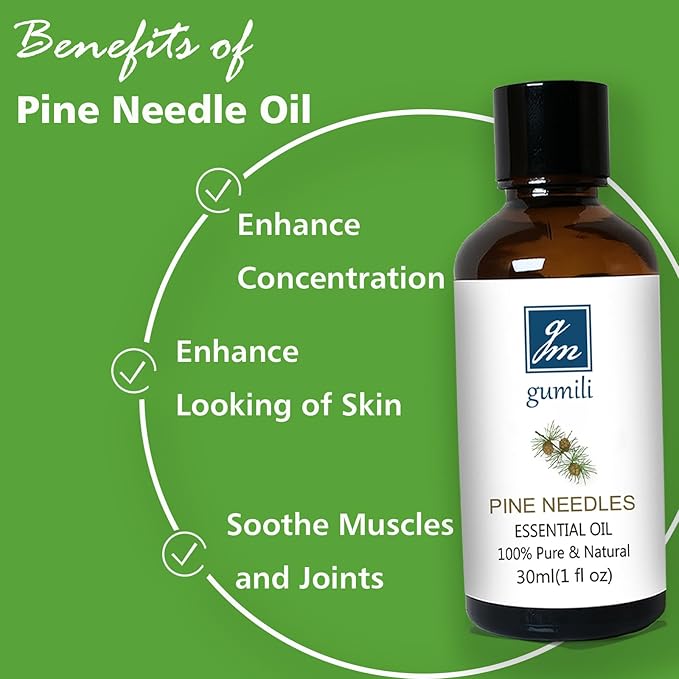 Pine Needle Essential Oil 1 Oz - 100% Pure & Natural Pine Oil for Diffuser, Skin, Massage & Aromatherapy - Fresh Pinus Essential Oils Fragrance - Bloomnest