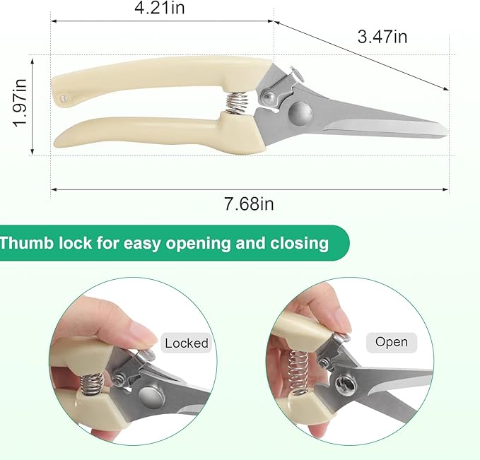 Premium garden shears, meperez pruning scissors gardening tools, pruners for flower, bushes, rose and fruit tree, use for florist, yard and orchard the plant clippers, sharp white steel anvil snips, 2 - Bloomnest