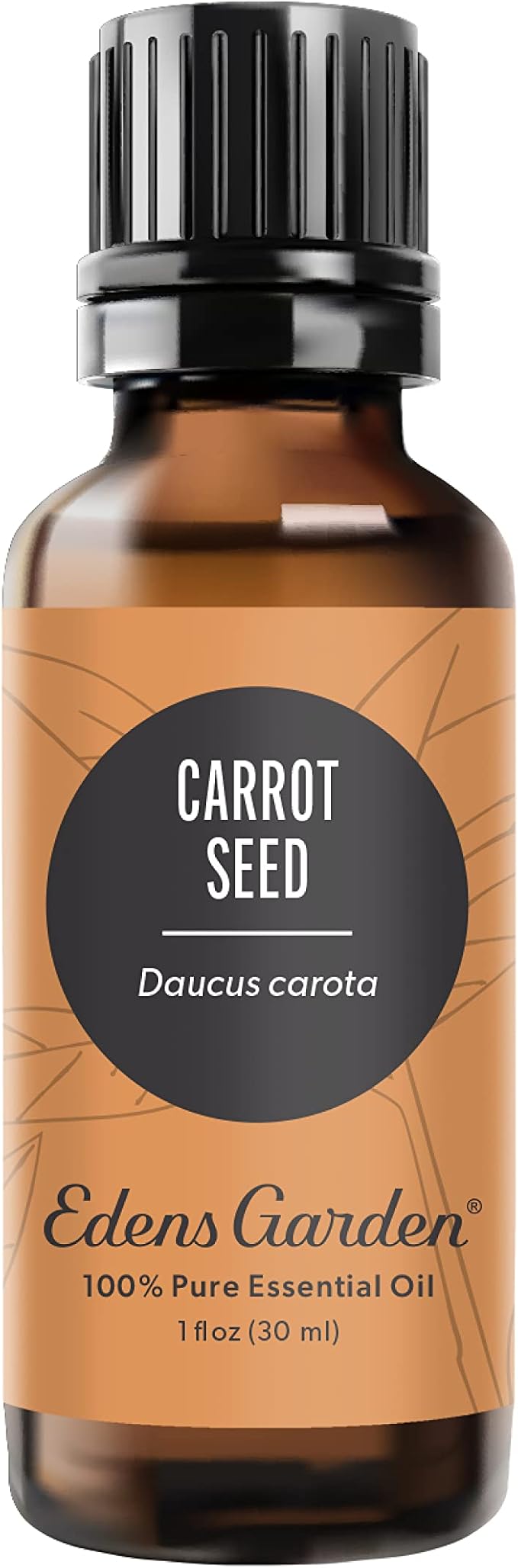 Edens Garden Carrot Seed Essential Oil- 100% Pure Premium Grade, Undiluted, Natural, Therapeutic, Aromatherapy, The Best for Diffuser, Skin, Face, Kid Safe 30 ml (1 fl oz) EdensGarden