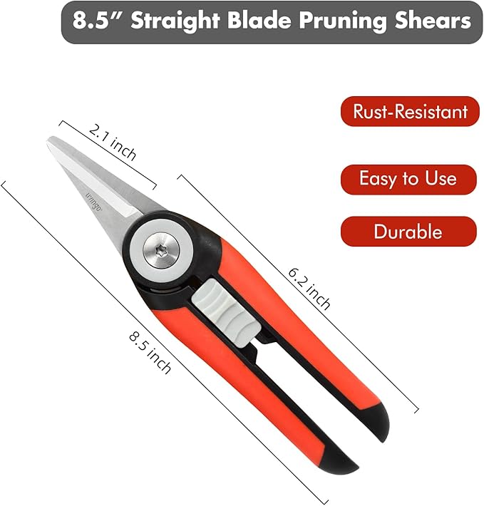 LIVINGO Precision Garden Pruning Shears - Straight Blade Floral Scissors with Non-Slip Handle for Trimming, 8.5" Gardening Clippers for Flowers, Herbs, Bonsai & Indoor Plants - Bloomnest
