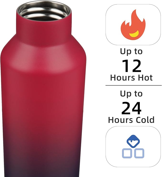 Insulated Water Bottle with Straw,17 OZ Double Wall Vacuum Stainless Steel Water Flask with 2 Lids,Glamour Red - Bloomnest