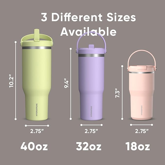 Hydrapeak Nomad 32 oz Tumbler with Handle and Straw Lid, Leakproof, Double Insulated, 32oz Cup Stainless Steel (Mocha) - Bloomnest