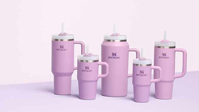 STANLEY Quencher H2.0 Tumbler with Handle and Straw 14 oz | Flowstate 3-Position Lid | Cup Holder Compatible for Travel | Insulated Stainless Steel Cup | BPA-Free | Lilac