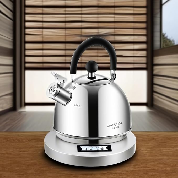 304 Stainless Steel Whistling Tea Kettle 2.1 Quart/2L, Suitable to Boiling Water & Tea on Induction Stove, Gas Stove Top - Bloomnest