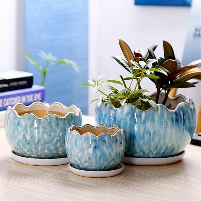 Succulent Pots White Ceramic Flowerpot Herb Plant Flower Pot Succulent Planter Plant Flower Pot - Bloomnest