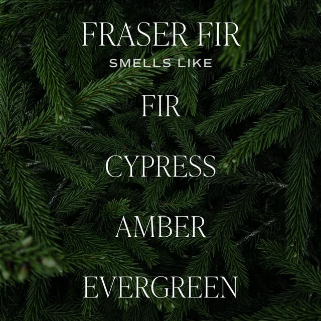 Sweet Water Decor Fraser Fir Candle - Evergreen, Fir, Cedar, and Cypress Winter Holiday Scented Soy Christmas Candles for Home - 12oz Sandstone Jar, 50+ Hour Burn Time, Made in The USA - Bloomnest