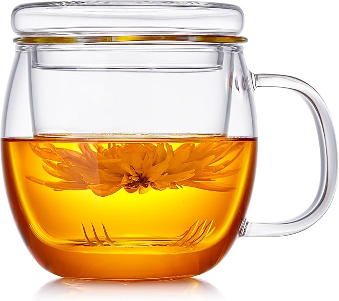 Glass Tea Cup with Infuser and Lid, 17oz/500ml Large Borosilicate Teacup, Clear Mug for Loose Leaf Tea, Blooming Tea, Tea Bags - Perfect Christmas or Birthday Gift for Women - Bloomnest