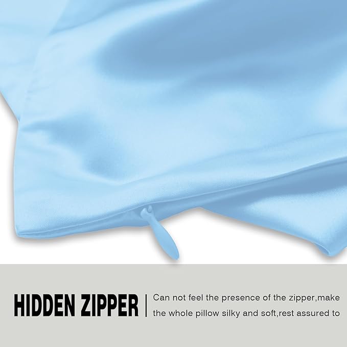 Natural Mulberry Silk Pillowcase for Hair and Skin Queen Size 20"X30" Pillow Case with Hidden Zipper Soft Breathable Smooth Cooling Silk Pillow Covers for Sleeping (Sky Blue,Queen,1Pcs) - Bloomnest