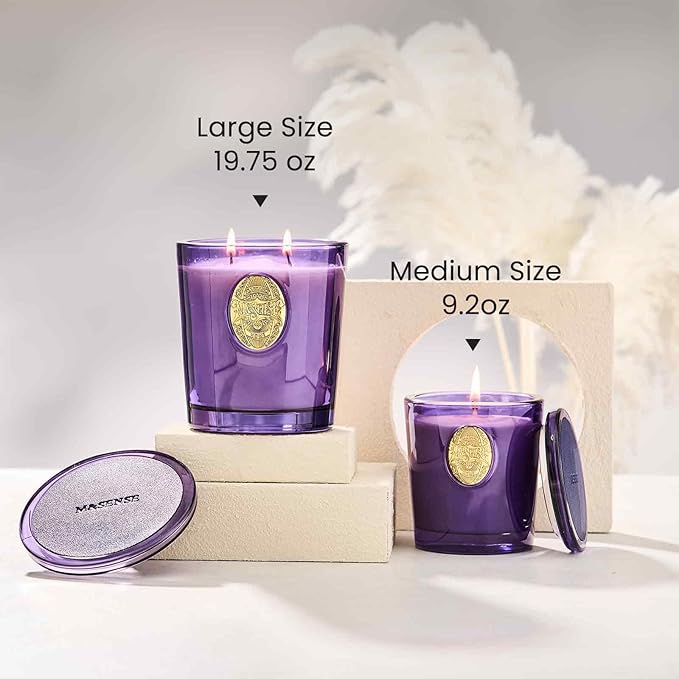 M&SENSE Large Two-Wick Soy Candle | Lavender Citrus & Purple | 19.8 oz, 120H Burn Time | Luxury Scented Candle for Relaxation, Gifting, Home Décor | Ideal for Bedroom, Office, Party Ambiance - Bloomnest