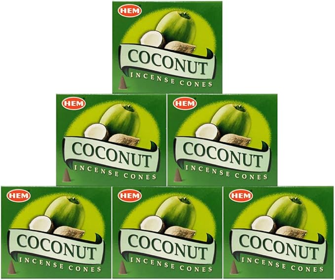 Trumiri Incense Cone Holder Bundle with Hem Coconut Incense Cones - Pack of 6 (Approx 60 Cones) TRUMIRI