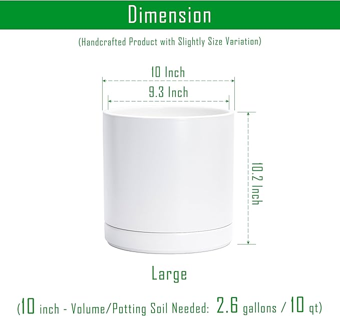 D'vine Dev Set of 2 Plants Pots, 10 Inch Ceramic Planter Pot for Plants with Drainage Hole and Saucer, White, 94-V-E-1 - Bloomnest
