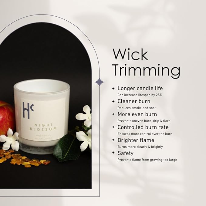 Night Blossom Single Wick Soy Candles, Luxury Scented Candles for Home - Up to 60 Hour Burn Time, Cruelty-Free Soy Wax Blend - Jasmine Fragrance, Notes of Apple & Musk (9 oz) - Bloomnest